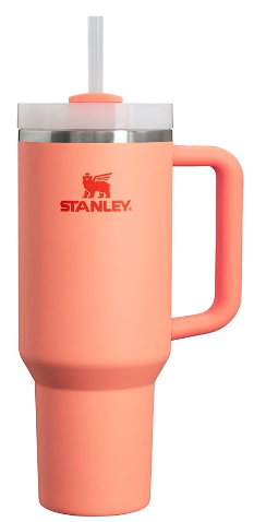 Stanley Quencher H2.0 FlowState Stainless Steel Vacuum Insulated Tumbler with Lid and Straw (Wild Flowers)